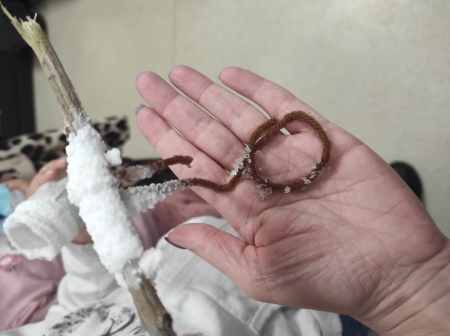 Mali przyrodnicy w akcji!